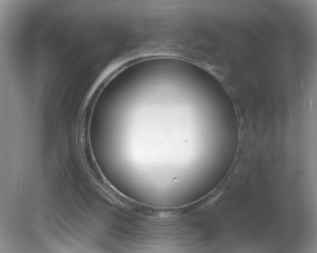 X0000082720056200701261040