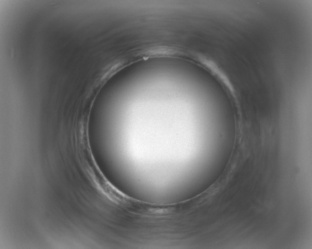 X0000082720057200701261040