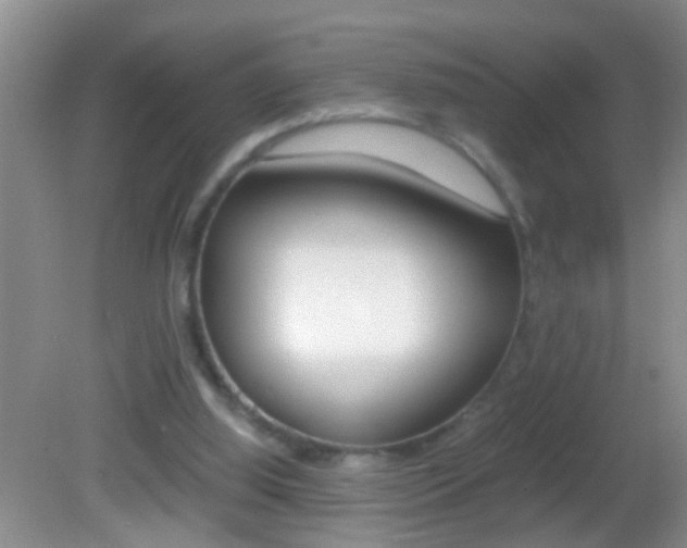 X0000082720060200701261040