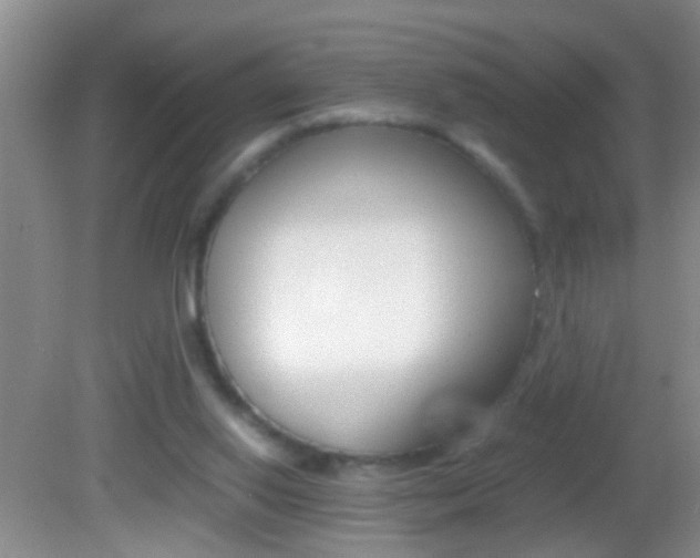 X0000082720062200701261040