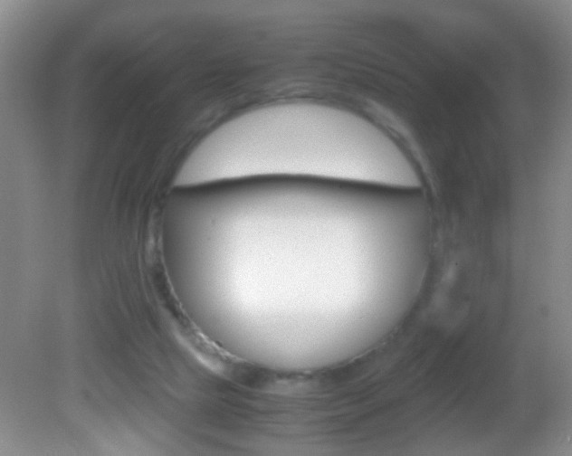 X0000082720065200701261040
