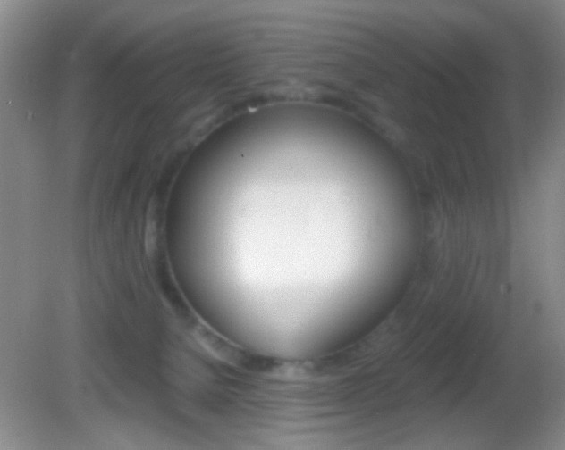X0000082720080200701261041