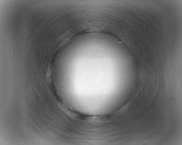 X0000082720082200701261041