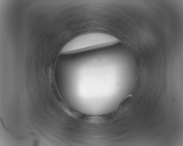 X0000082720087200701261041