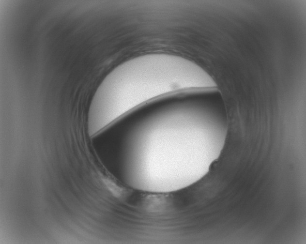 X0000082720089200701261041