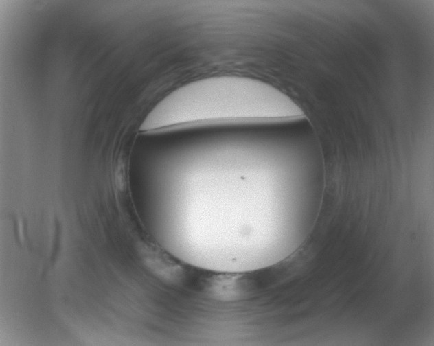 X0000082720090200701261041