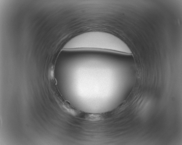 X0000082720095200701261041