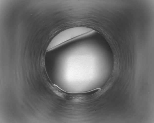 X0000082720096200701261041