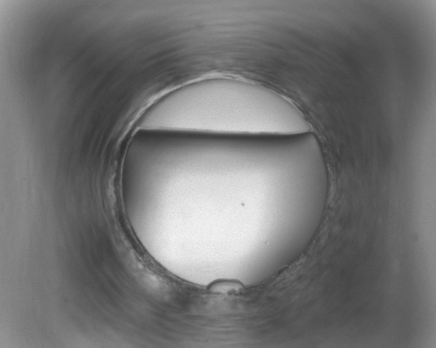 X0000082720098200701261040