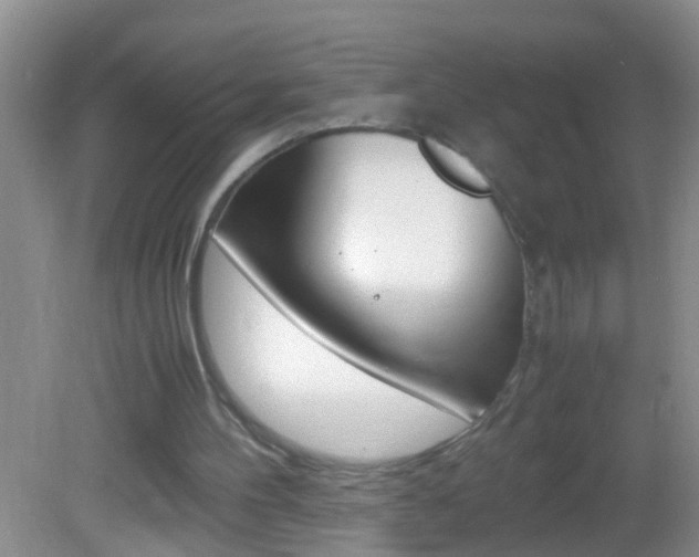 X0000082720100200701261040
