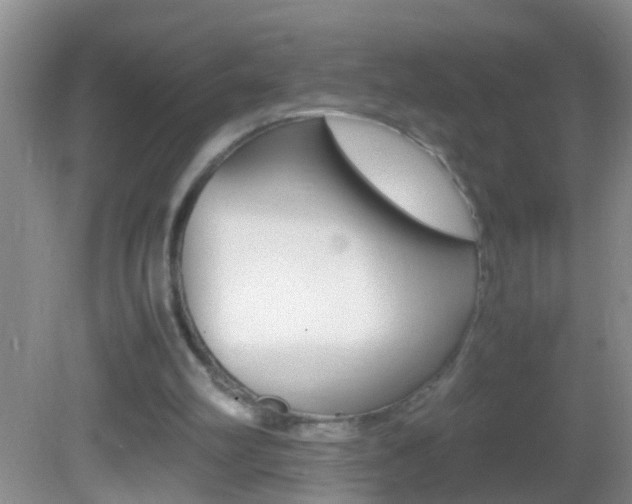 X0000082720102200701261040
