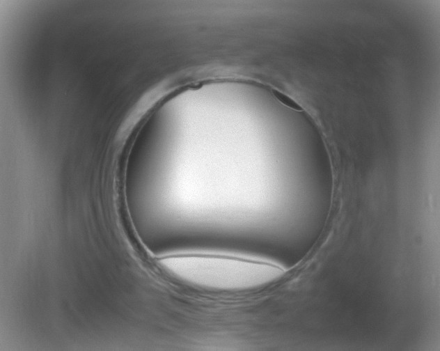 X0000082720103200701261040