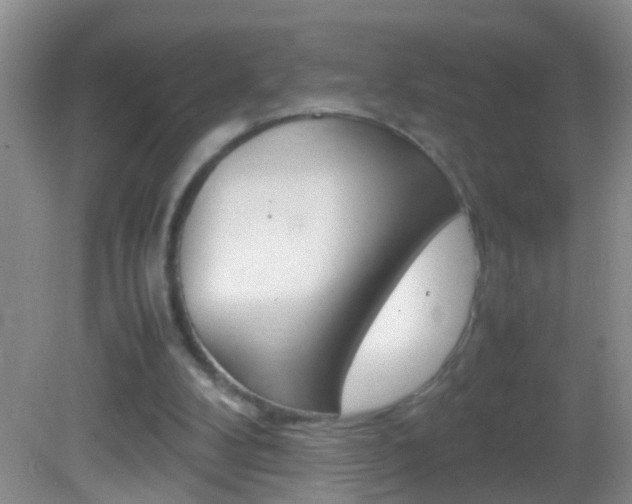 X0000082720104200701261040