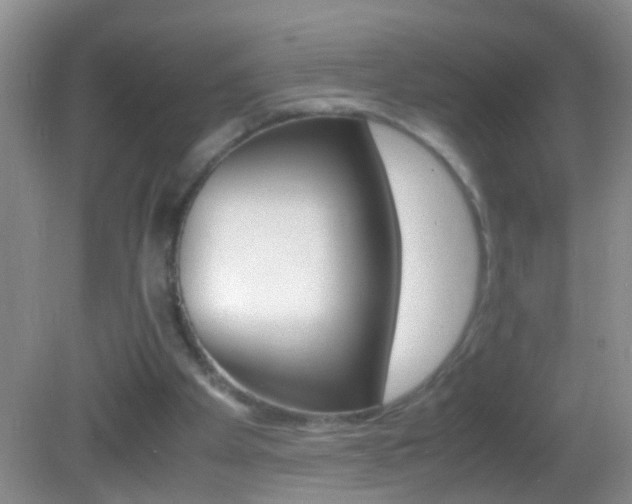 X0000082720105200701261040