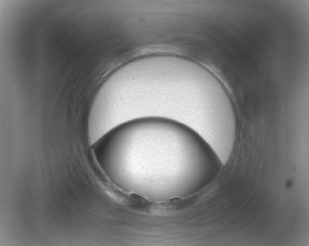 X0000082720109200701261040