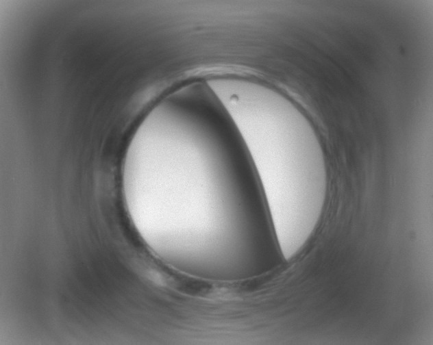 X0000082720111200701261040