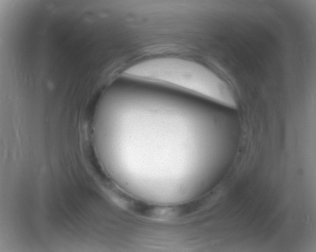 X0000082720117200701261040