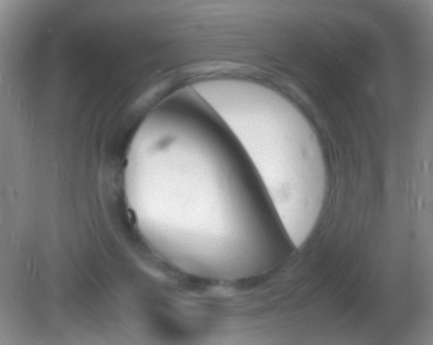 X0000082720119200701261040