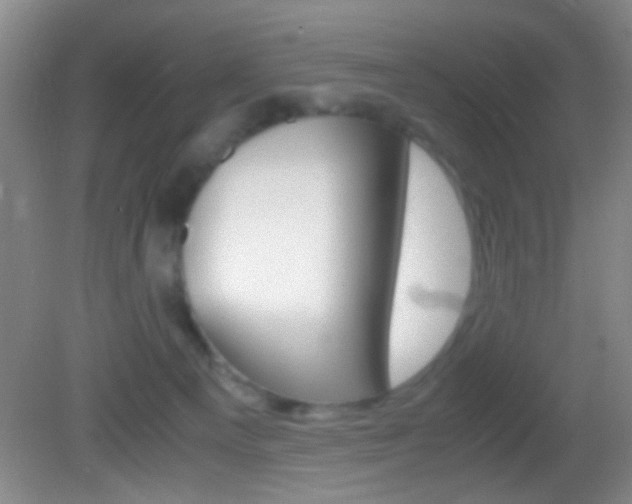 X0000082720129200701261040