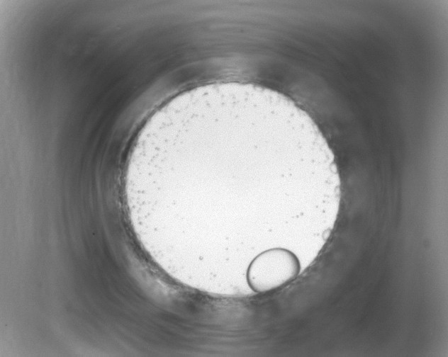 X0000082720146200701261039