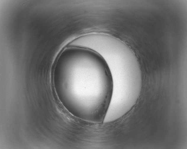 X0000082720148200701261039