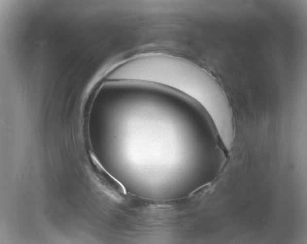 X0000082720150200701261039