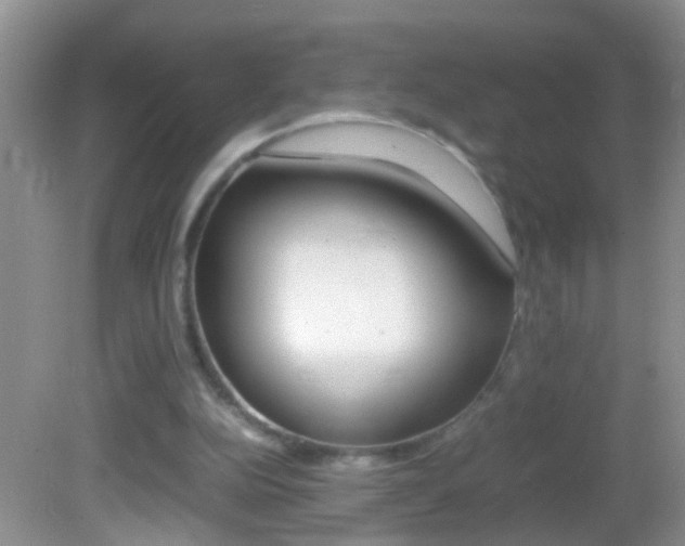X0000082720152200701261039