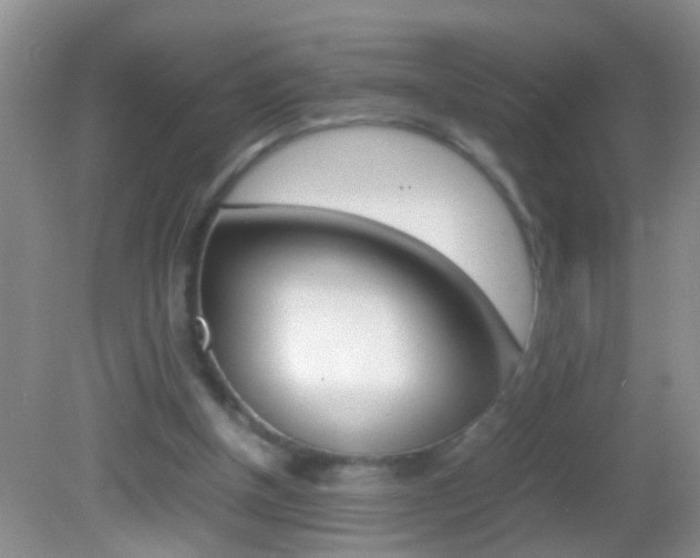 X0000082720154200701261039