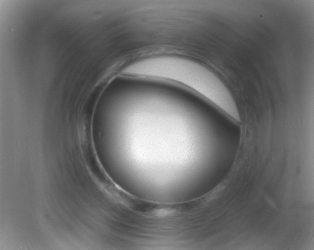 X0000082720158200701261039