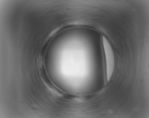 X0000082720164200701261039