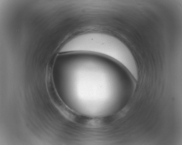 X0000082720168200701261039