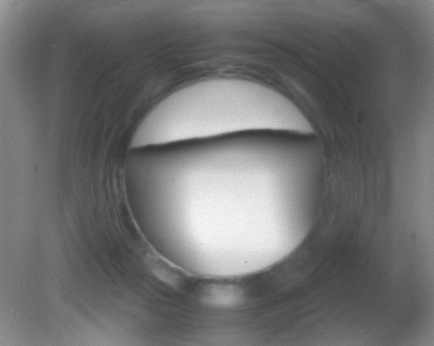 X0000082720169200701261039