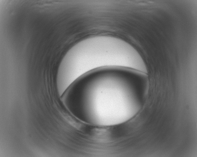 X0000082720170200701261039