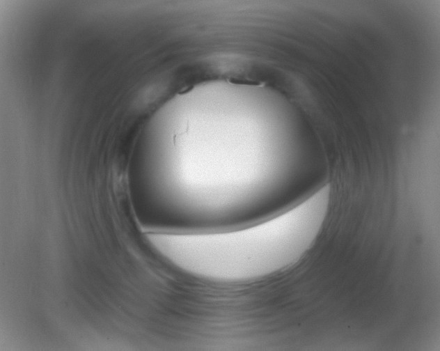 X0000082720176200701261039