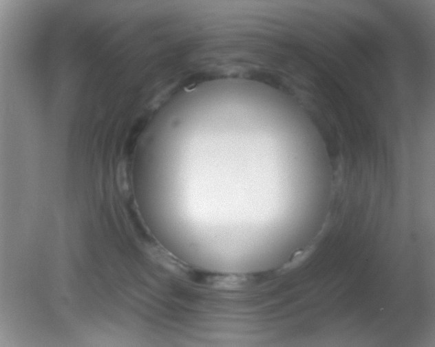 X0000082720182200701261039