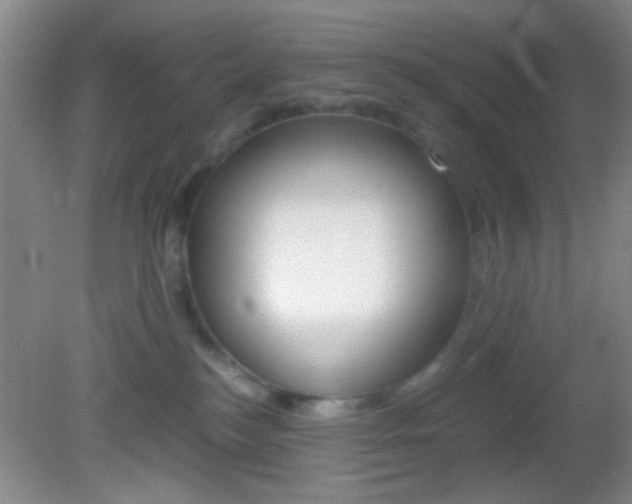 X0000082720184200701261039