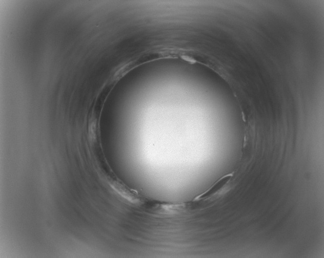 X0000082720188200701261039