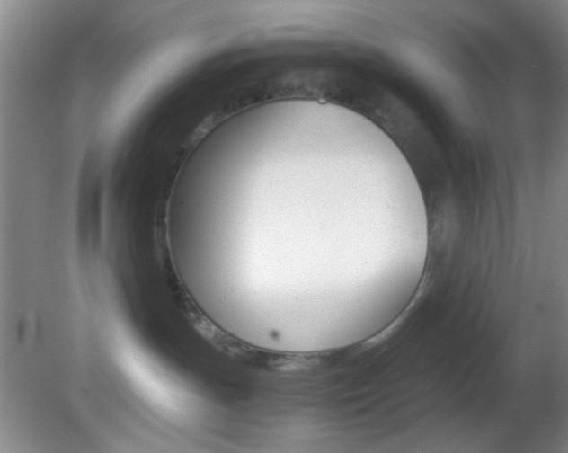 X0000082720191200701261039
