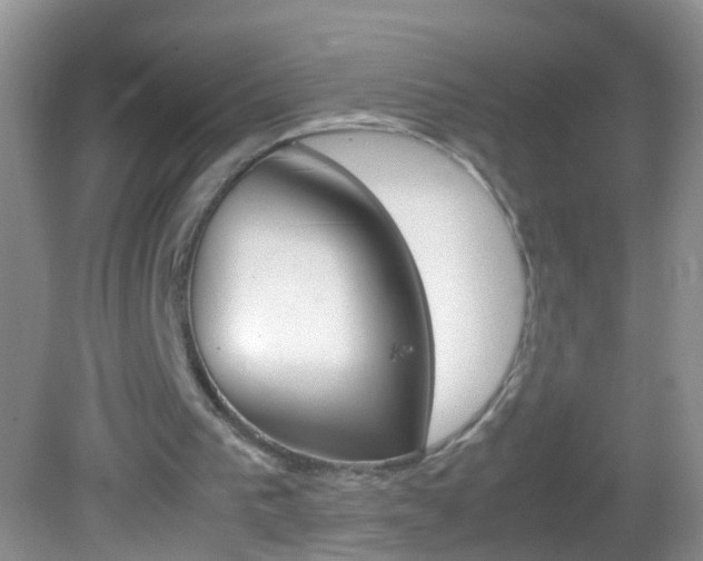 X0000082720193200701261038