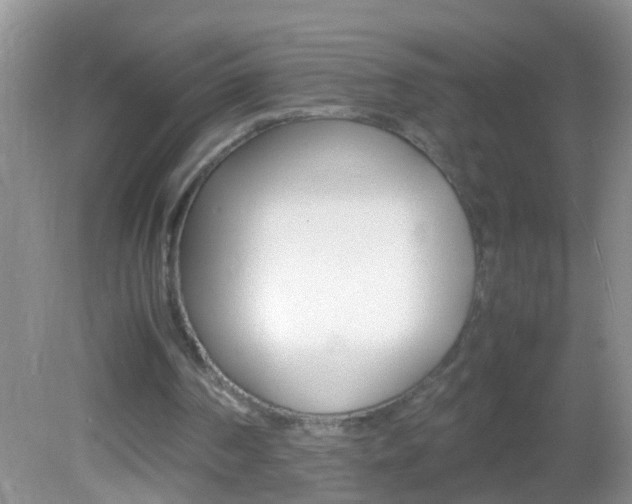 X0000082720194200701261038