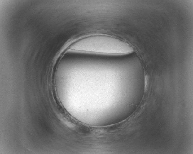 X0000082720195200701261038