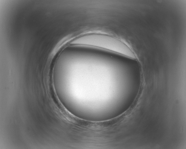 X0000082720199200701261038