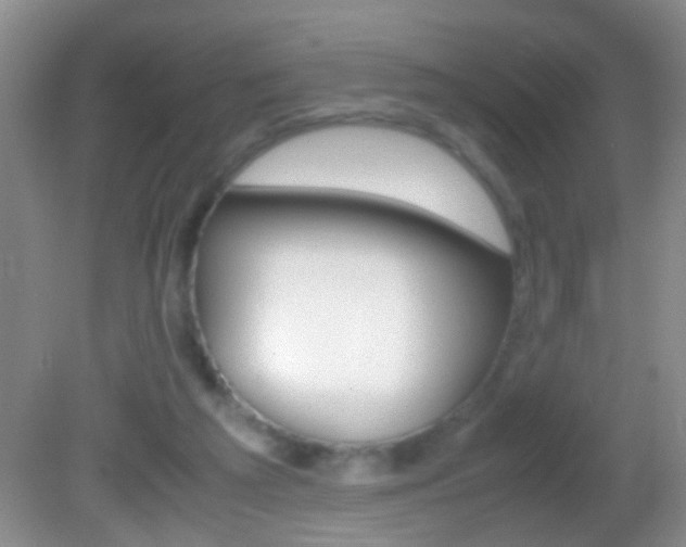 X0000082720209200701261038
