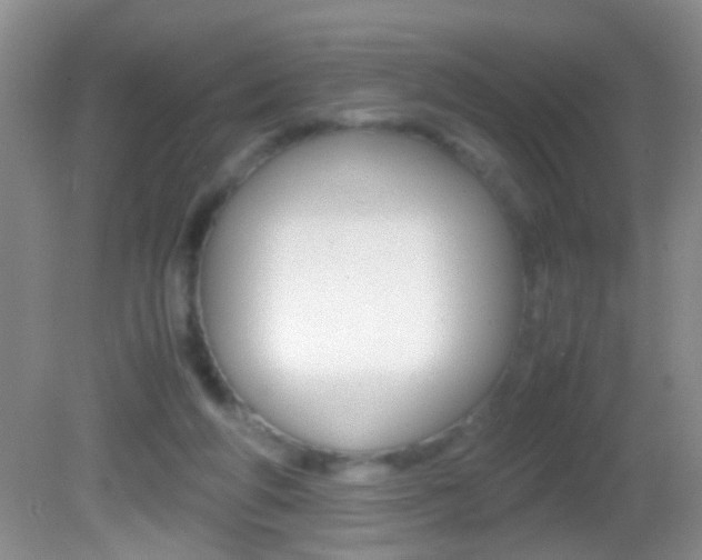 X0000082720210200701261038