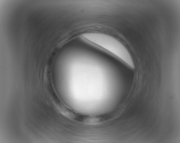 X0000082720217200701261038
