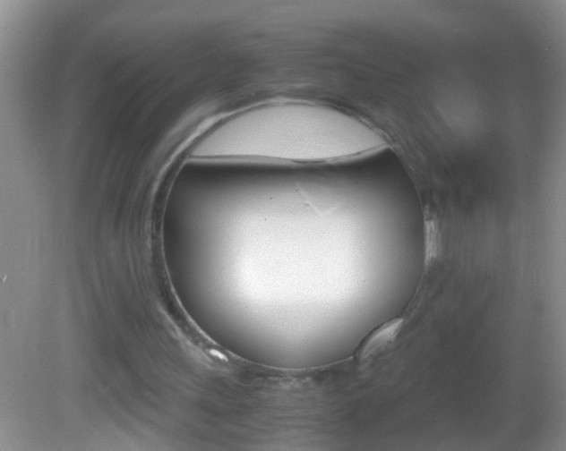 X0000082720243200701261037