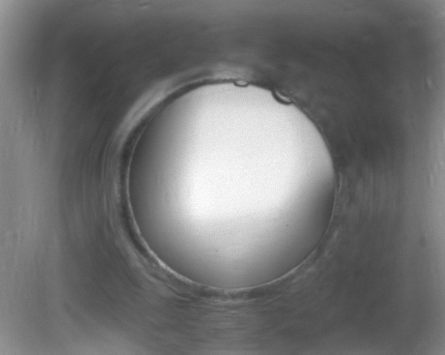 X0000082720247200701261037
