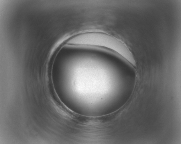 X0000082720248200701261037