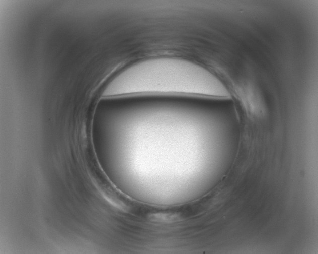 X0000082720251200701261037