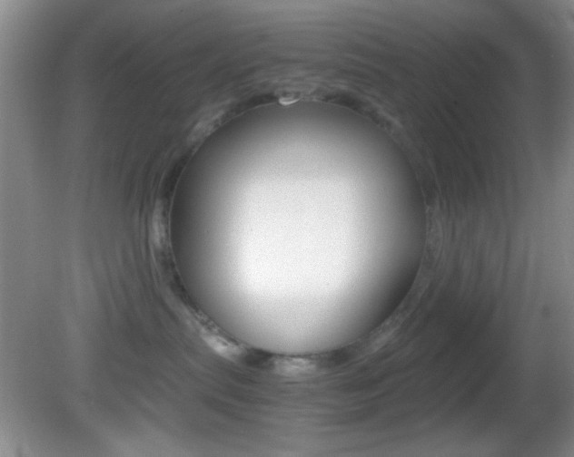X0000082720287200701261038
